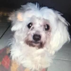 Meet your Posher, Veronica